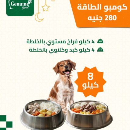 كومبو الطاقة